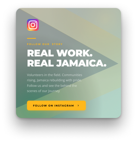 Instagram social media link